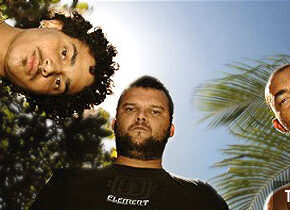 Entrevista – The Sinks