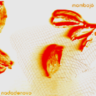 Capa do cd da Mombojó - Nadadenovo