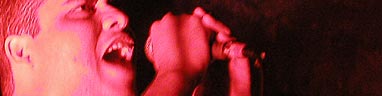 Ver fotos do show