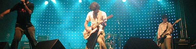 Zefirina Bomba (PB)
