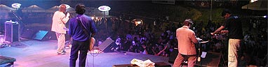 The Playboys no MADA 2005