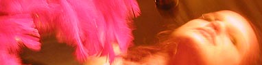 Ver fotos do show